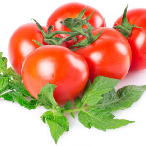 Tomato